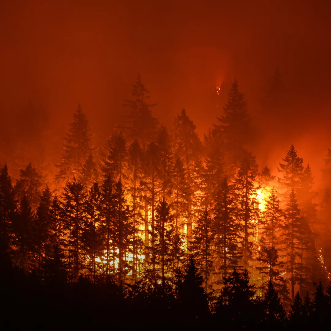 Protect Your Lung Health From Wildfire Smoke And Pollution Lung Health Foundation 4002